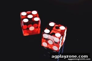 AG真人 agplayzone